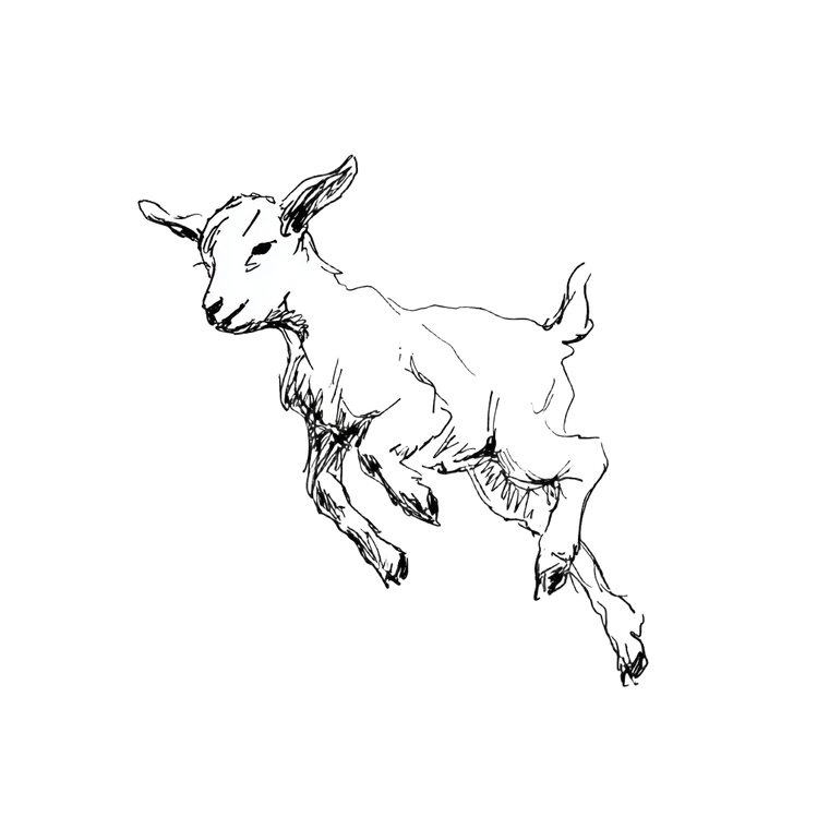 Playful Baby Goat Vinyl Car Decal Sticker – Waterproof & UV-Resistant 6.826666666666667"
