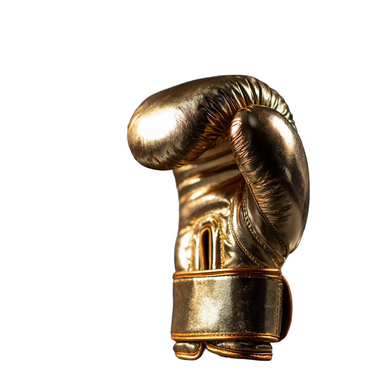 Golden Boxing Glove V2 Vinyl Car Decal Sticker – Waterproof & UV-Resistant 6.826666666666667"