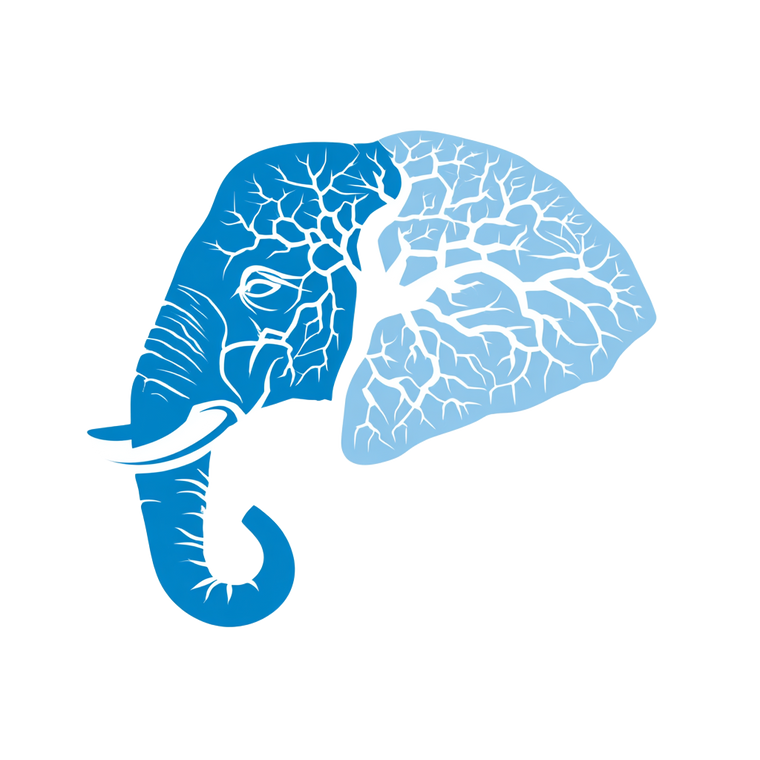 Memory Elephant Logo Vinyl Car Decal Sticker – Waterproof & UV-Resistant 3.4133333333333336"