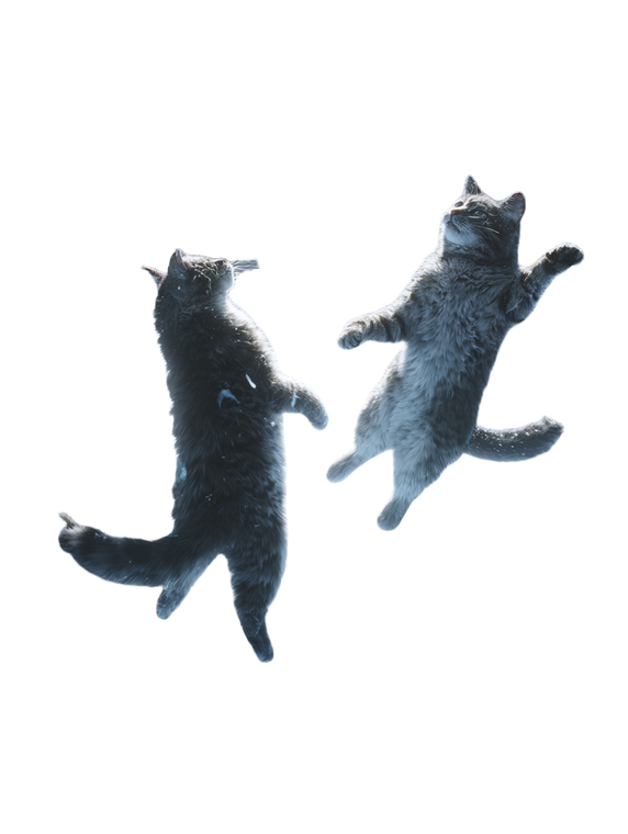 Dancing Space Cats Vinyl Car Decal Sticker – Waterproof & UV-Resistant 8.213333333333333"