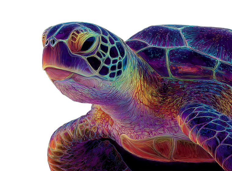 Neon Sea Turtle V2 Vinyl Car Decal Sticker – Waterproof & UV-Resistant 3.1466666666666665"