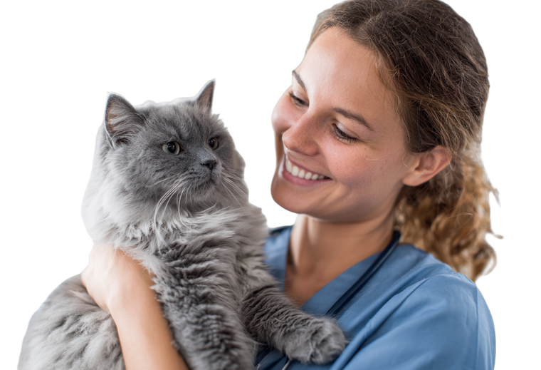 Doctor With Cat V2 Vinyl Car Decal Sticker – Waterproof & UV-Resistant 2.986666666666667"