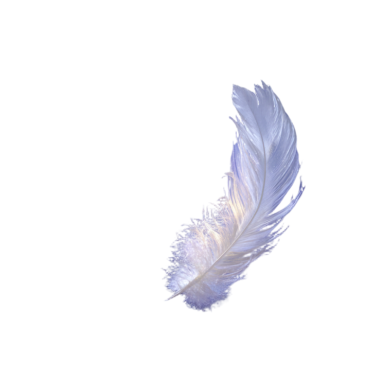Divine White Feather Vinyl Car Decal Sticker – Waterproof & UV-Resistant 3.4133333333333336"