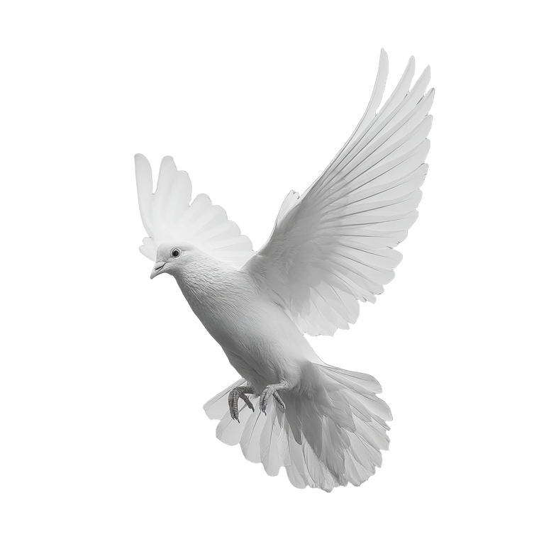 White Dove Flying V29 Vinyl Car Decal Sticker – Waterproof & UV-Resistant 6.826666666666667"