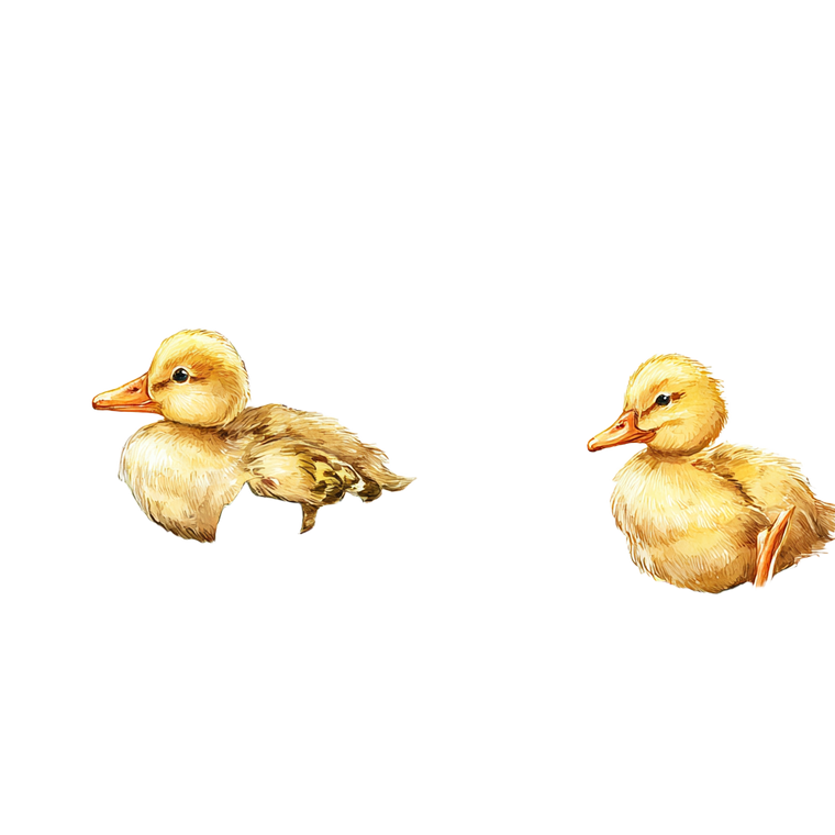 Ducklings And Cherries Vinyl Car Decal Sticker – Waterproof & UV-Resistant 3.4133333333333336"