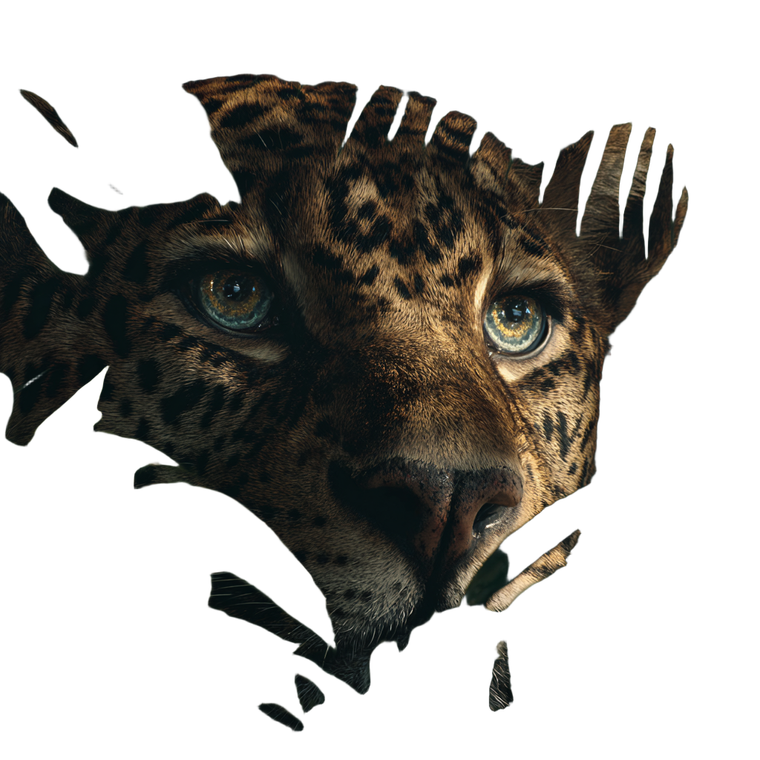Hyper-Realistic Leopard V2 Vinyl Car Decal Sticker – Waterproof & UV-Resistant 3.4133333333333336"