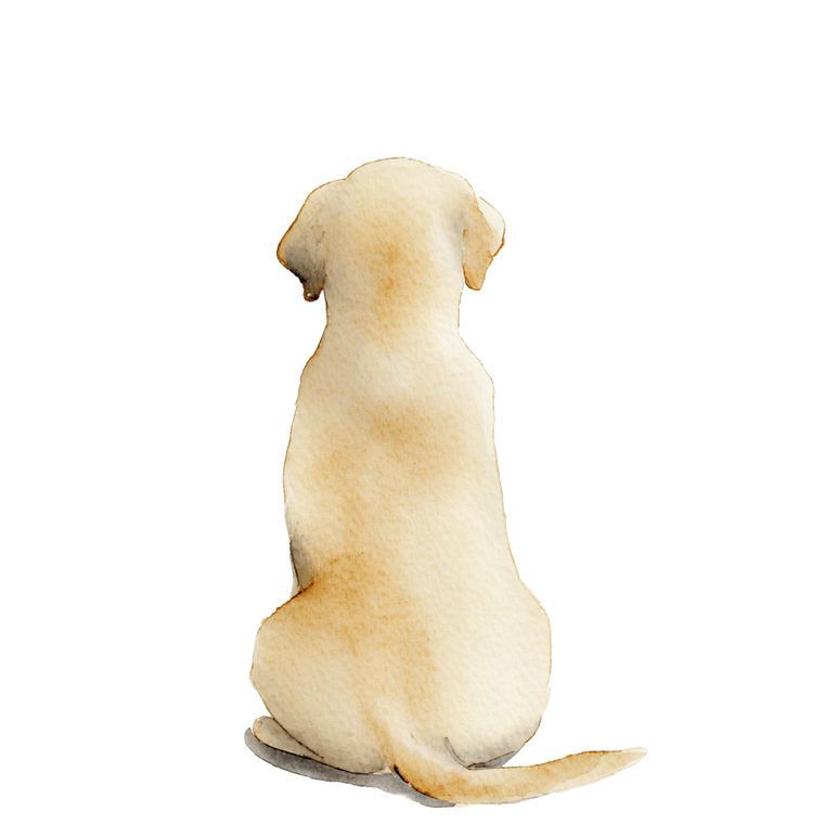 Abstract Labrador Puppy Vinyl Car Decal Sticker – Waterproof & UV-Resistant 6.826666666666667"