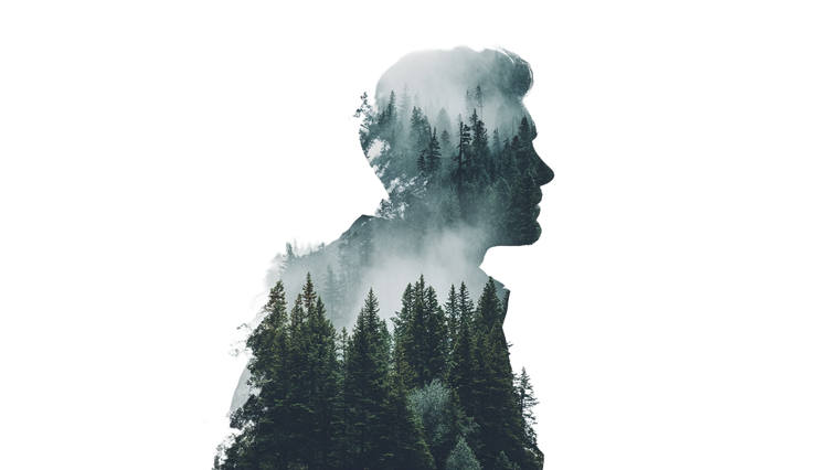 Forested Mountain Silhouette Vinyl Car Decal Sticker – Waterproof & UV-Resistant 2.72"