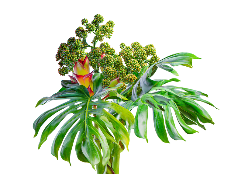 Exotic Green Bouquet Vinyl Car Decal Sticker – Waterproof & UV-Resistant 6.1866666666666665"