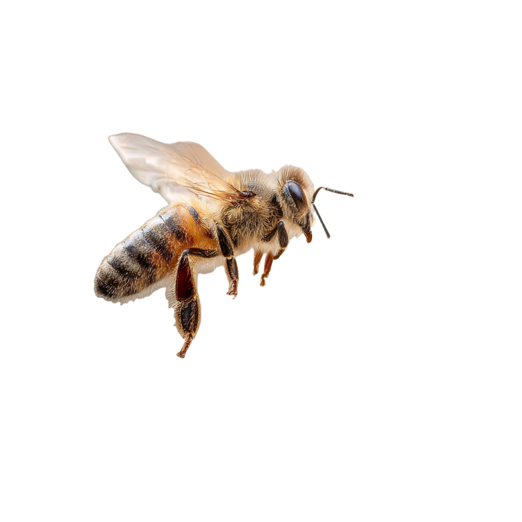 Bee Approaching Flower Vinyl Car Decal Sticker – Waterproof & UV-Resistant 6.826666666666667"