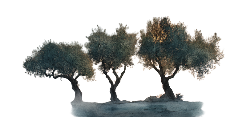Misty Olive Trees Vinyl Car Decal Sticker – Waterproof & UV-Resistant 5.12"