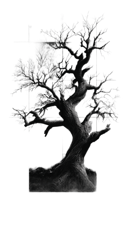 Old Tree Tattoo Vinyl Car Decal Sticker – Waterproof & UV-Resistant 9.706666666666667"