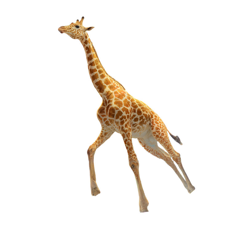 Surreal Giraffe Descent Vinyl Car Decal Sticker – Waterproof & UV-Resistant 3.466666666666667"