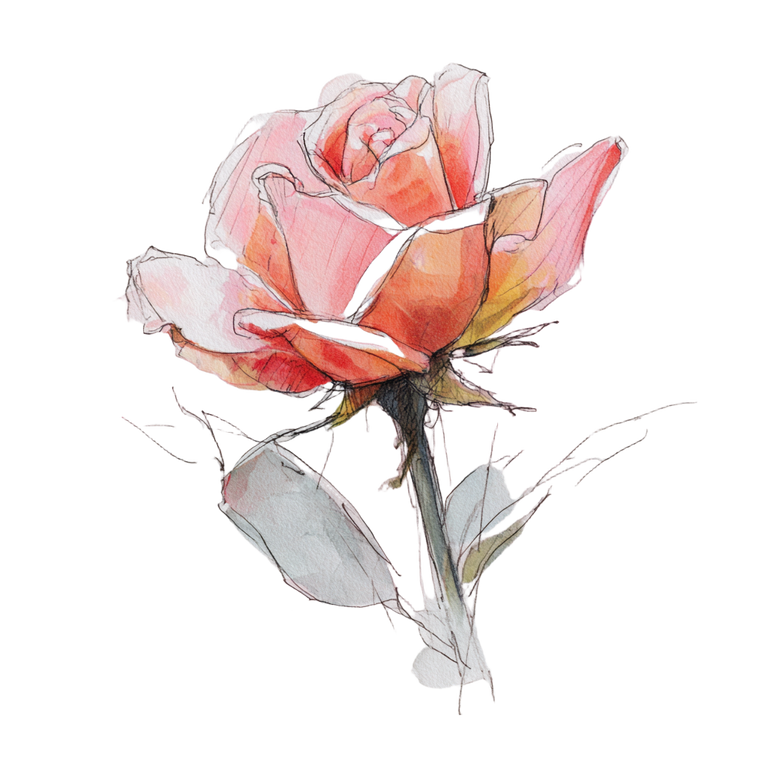 Watercolor Rose V2 Vinyl Car Decal Sticker – Waterproof & UV-Resistant 3.4133333333333336"