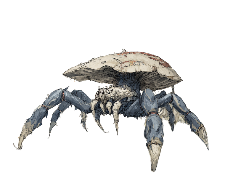 Fungal Wolf Spider V2 Vinyl Car Decal Sticker – Waterproof & UV-Resistant 6.613333333333333"