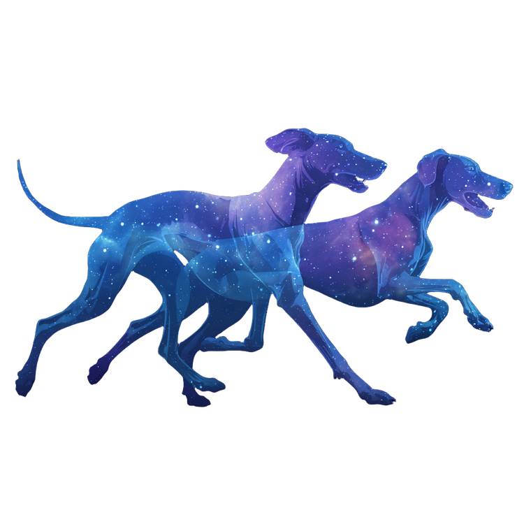 Hunting Dogs Silhouette Vinyl Car Decal Sticker – Waterproof & UV-Resistant 6.826666666666667"