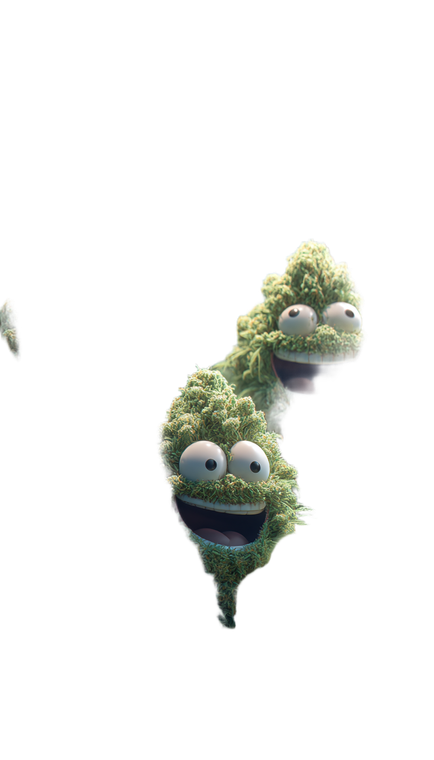 Laughing Cannabis Buds Vinyl Car Decal Sticker – Waterproof & UV-Resistant 4.8533333333333335"