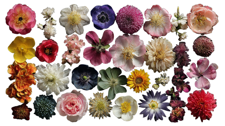 Floral Variety V2 Vinyl Car Decal Sticker – Waterproof & UV-Resistant 2.72"