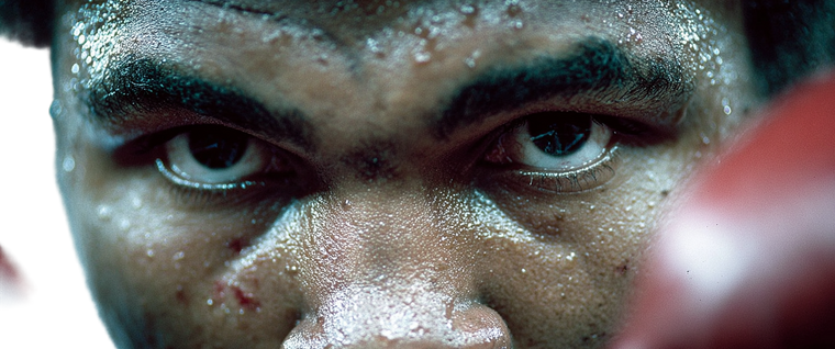 Muhammad Ali Fight Vinyl Car Decal Sticker – Waterproof & UV-Resistant 4.693333333333333"
