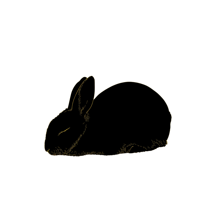Sleeping Rabbit Silhouette Vinyl Car Decal Sticker – Waterproof & UV-Resistant 3.4133333333333336"