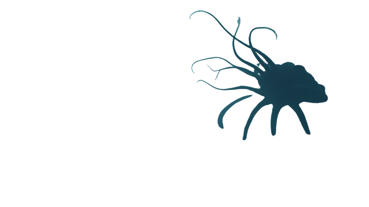 Strange Lifeforms Vinyl Car Decal Sticker – Waterproof & UV-Resistant 2.72"