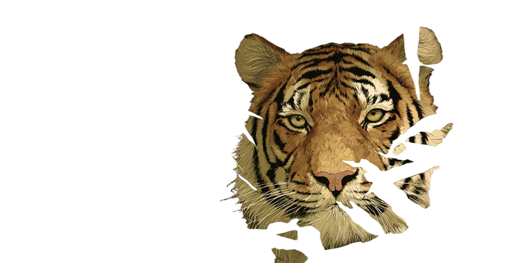Asian Tiger Hiding Vinyl Car Decal Sticker – Waterproof & UV-Resistant 2.56"