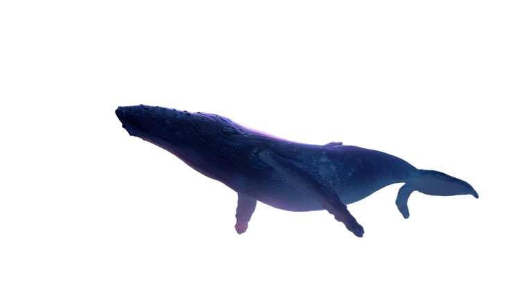 Whale Under Stars Vinyl Car Decal Sticker – Waterproof & UV-Resistant 5.4