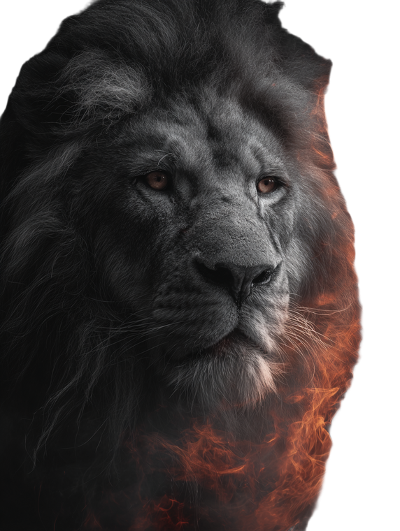 Majestic Flaming Lion Vinyl Car Decal Sticker – Waterproof & UV-Resistant 8.213333333333333"