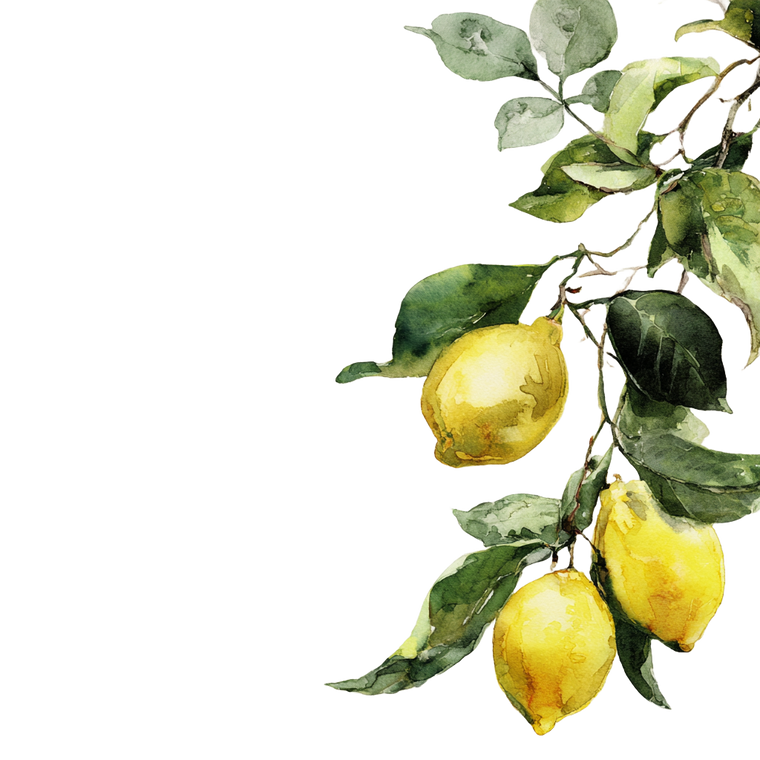 Lemon Branch V2 Vinyl Car Decal Sticker – Waterproof & UV-Resistant 3.4133333333333336"