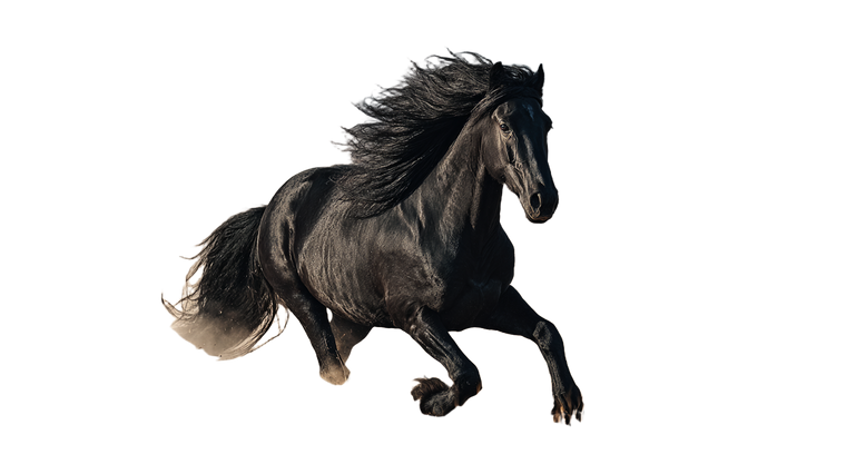 Galloping Black Stallion Vinyl Car Decal Sticker – Waterproof & UV-Resistant 2.72"