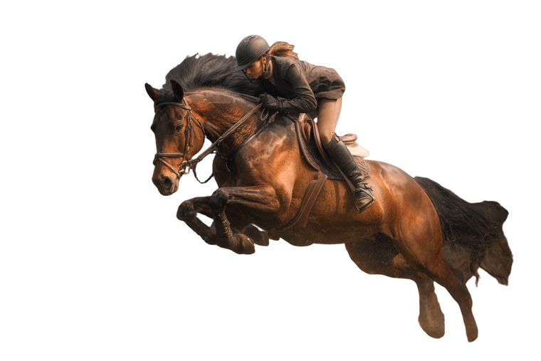 Equestrian Leap Vinyl Car Decal Sticker – Waterproof & UV-Resistant 2.986666666666667"