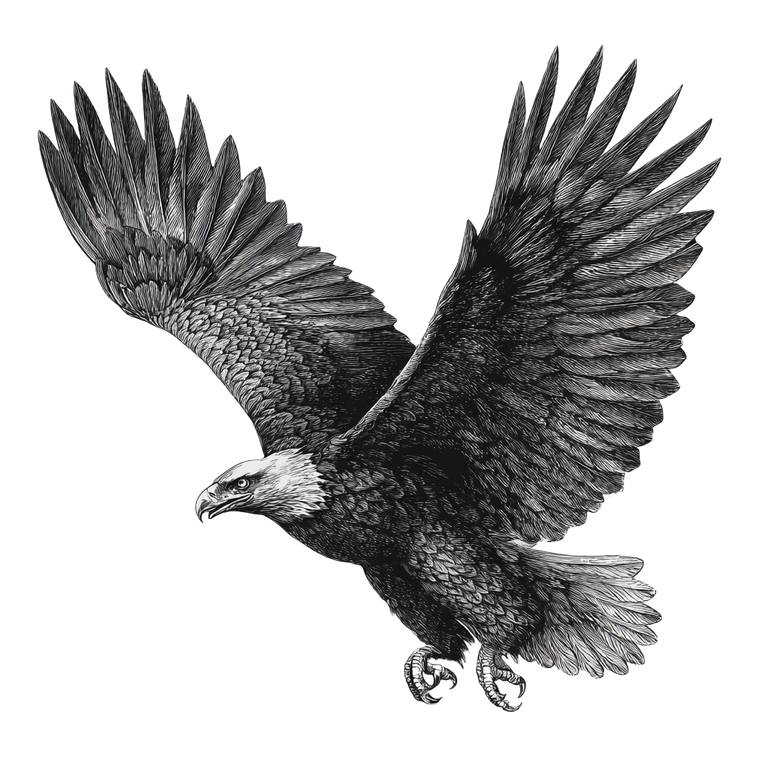 Engraved Flying Eagle Vinyl Car Decal Sticker – Waterproof & UV-Resistant 3.4133333333333336"