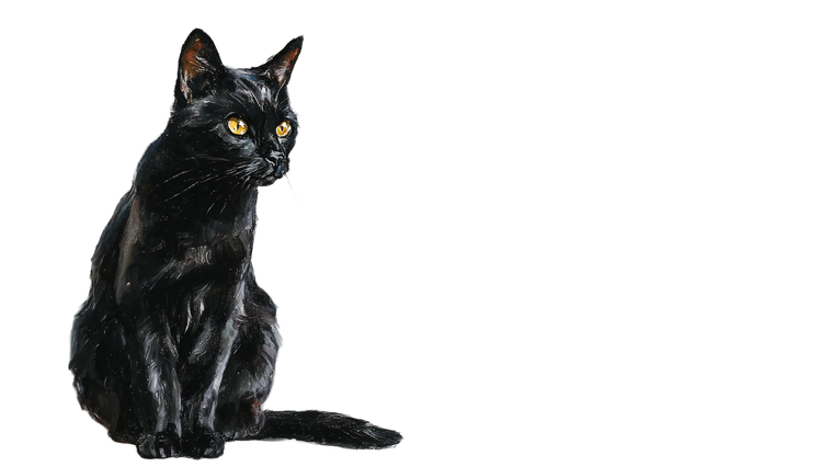 Elegant Black Cat V15 Vinyl Car Decal Sticker – Waterproof & UV-Resistant 2.72"