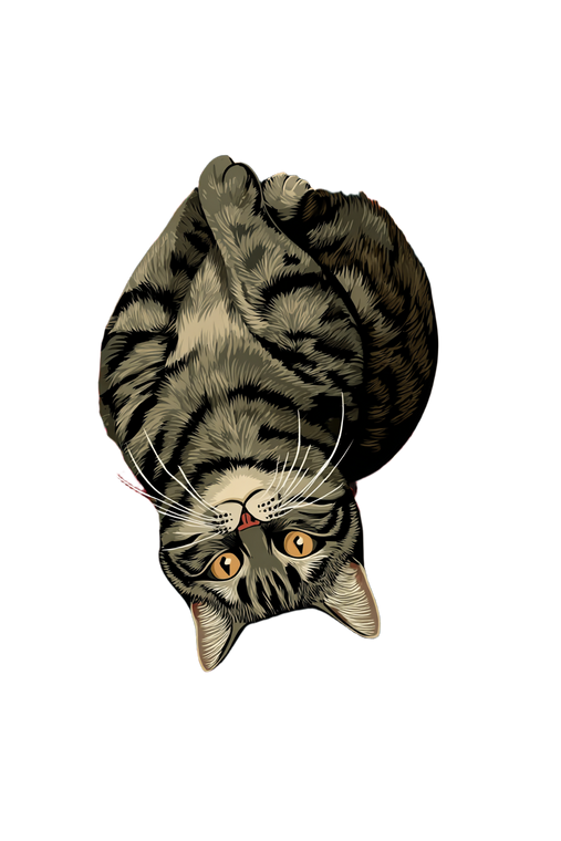 Hanged Cat Tarot Vinyl Car Decal Sticker – Waterproof & UV-Resistant 8.96"
