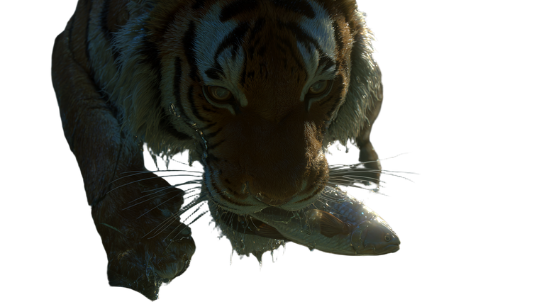 Majestic Tiger Fishing Vinyl Car Decal Sticker – Waterproof & UV-Resistant 5.4