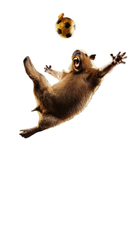 Capybara As Messi Vinyl Car Decal Sticker – Waterproof & UV-Resistant 9.706666666666667"