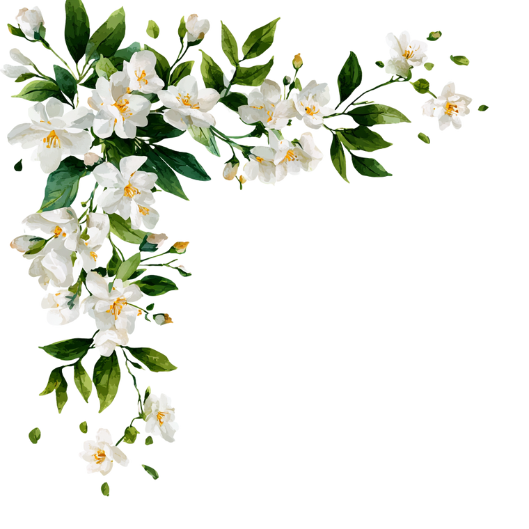 Jasmine Flower Border Vinyl Car Decal Sticker – Waterproof & UV-Resistant 3.4133333333333336" Jasmine Flower Border Vinyl Car Decal Sticker – Waterproof & UV-Resistant 3.4133333333333336"