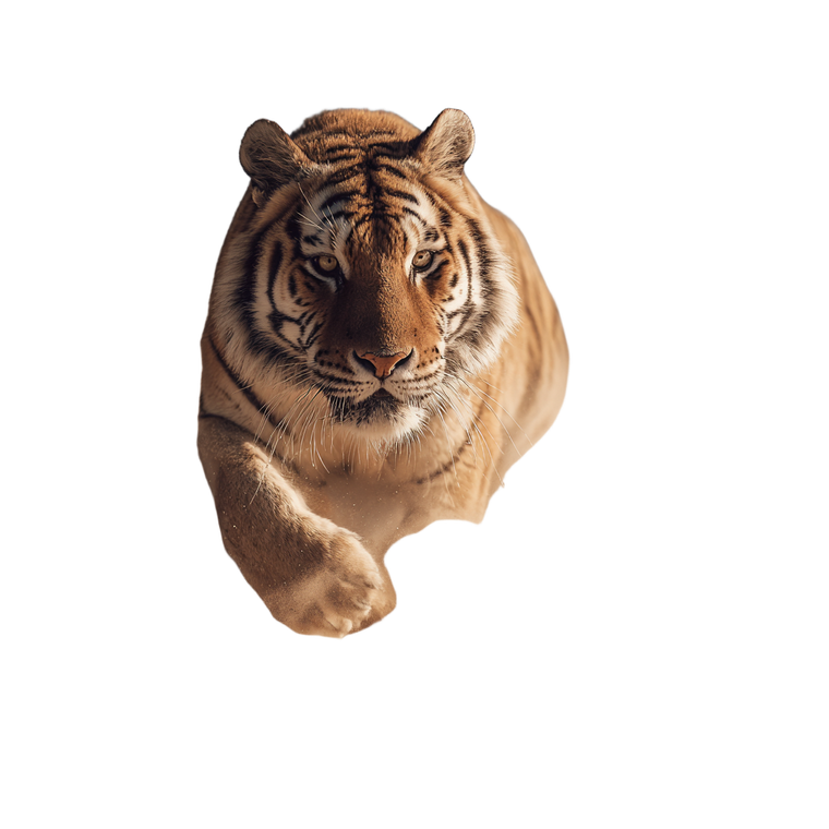 Running Tiger V9 Vinyl Car Decal Sticker – Waterproof & UV-Resistant 6.826666666666667"