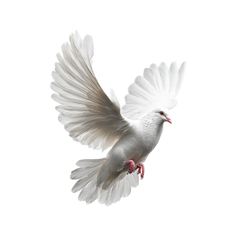 White Dove Flying V31 Vinyl Car Decal Sticker – Waterproof & UV-Resistant 6.826666666666667"