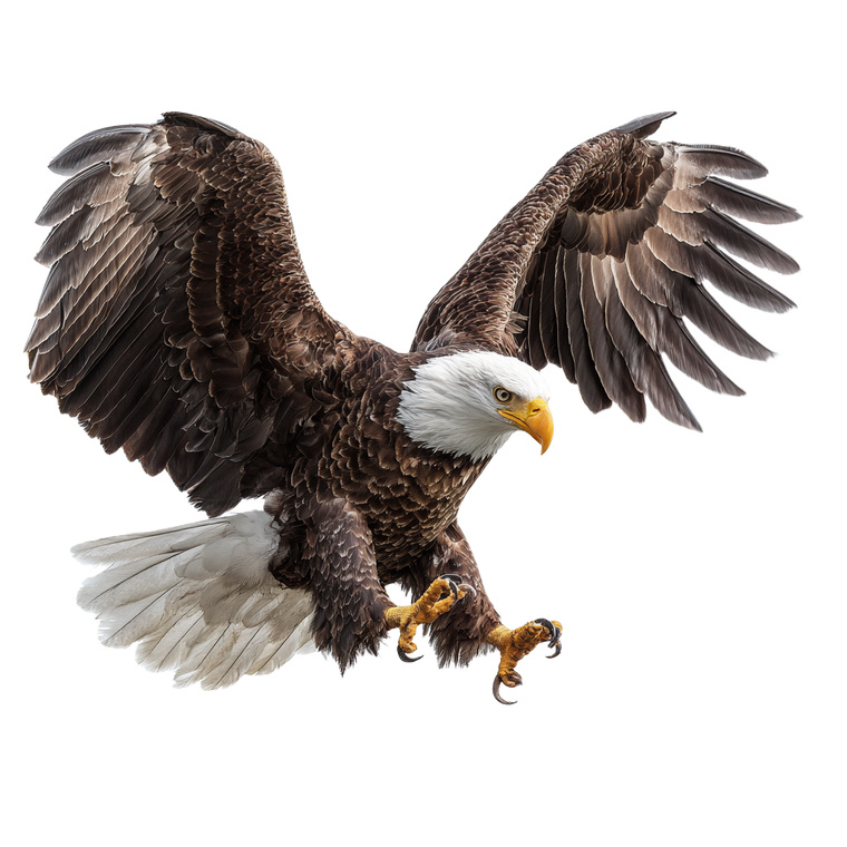 Eagle Claws Vinyl Car Decal Sticker – Waterproof & UV-Resistant 6.826666666666667"