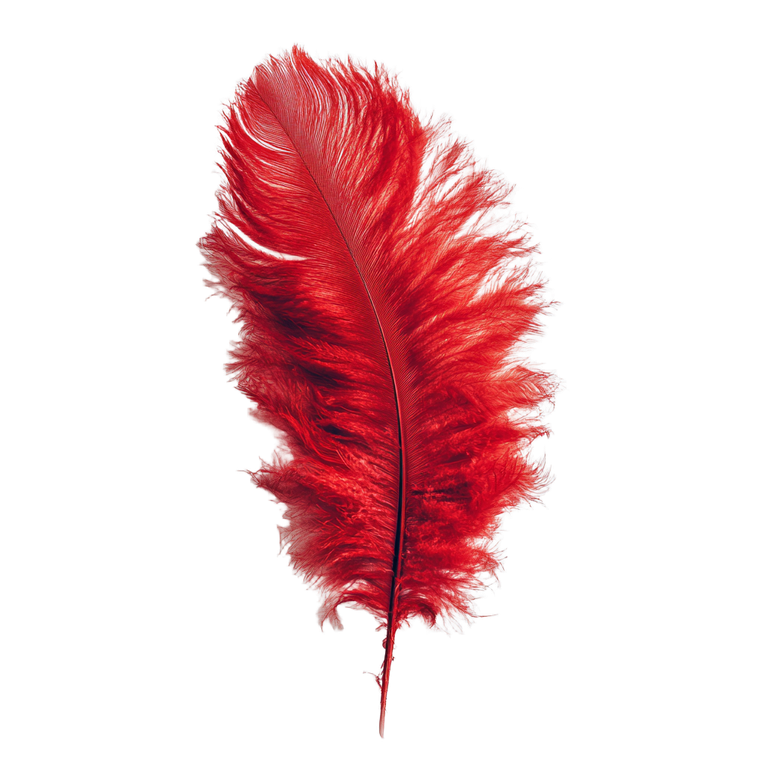 Red Fluffy Feather Vinyl Car Decal Sticker – Waterproof & UV-Resistant 6.826666666666667"