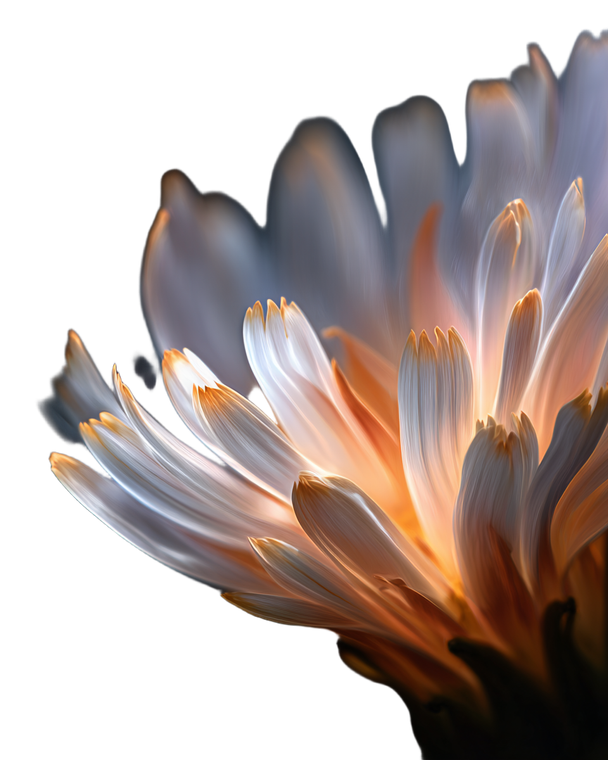 Ethereal Flower Close-Up Vinyl Car Decal Sticker – Waterproof & UV-Resistant 8.0"