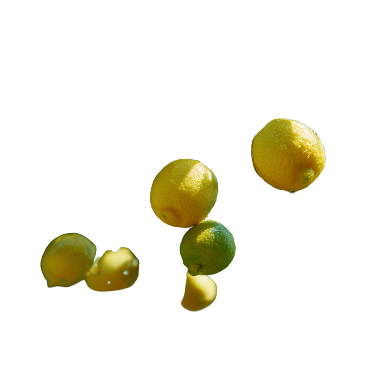 Lemon Tree Branches Vinyl Car Decal Sticker – Waterproof & UV-Resistant 6.826666666666667"