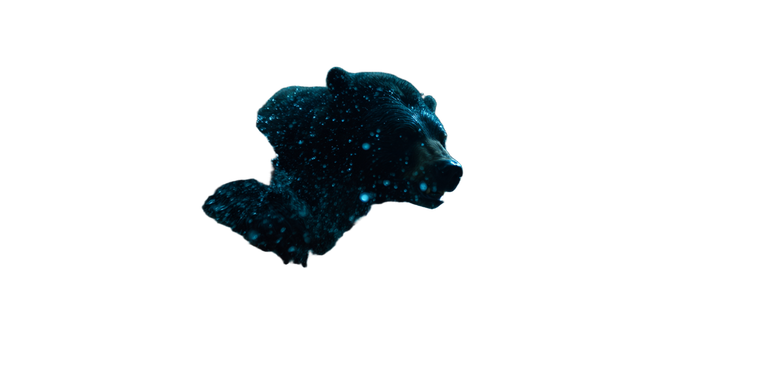 Wild Bear Charge Vinyl Car Decal Sticker – Waterproof & UV-Resistant 5.12"