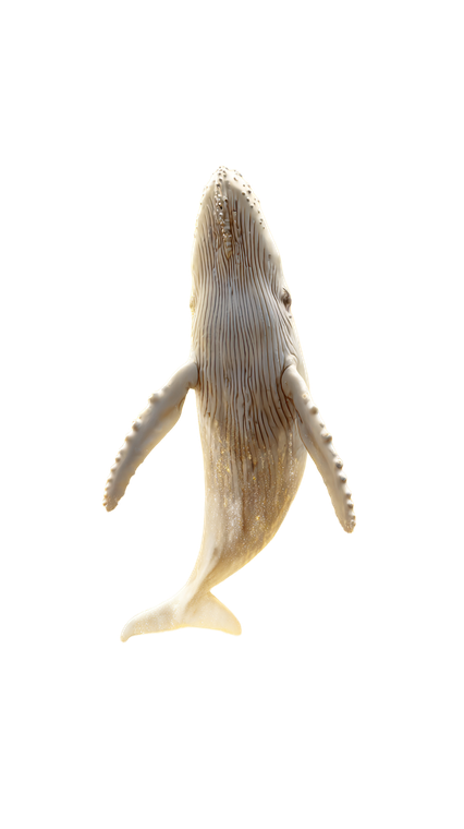 White Whale Ascent Vinyl Car Decal Sticker – Waterproof & UV-Resistant 4.8533333333333335"