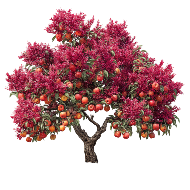 Realistic Apple Tree Vinyl Car Decal Sticker – Waterproof & UV-Resistant 3.4133333333333336"