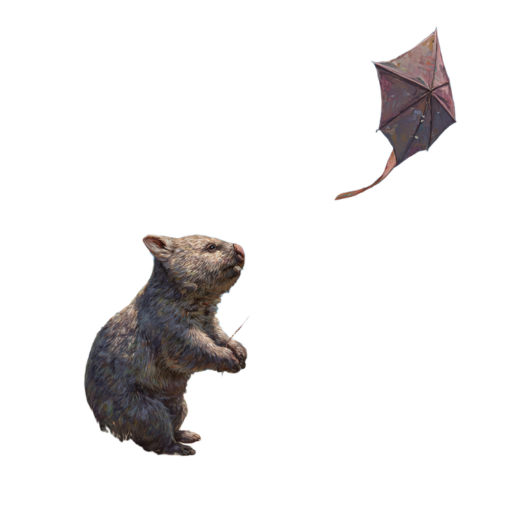 Wombat With Kite Vinyl Car Decal Sticker – Waterproof & UV-Resistant 3.4133333333333336"