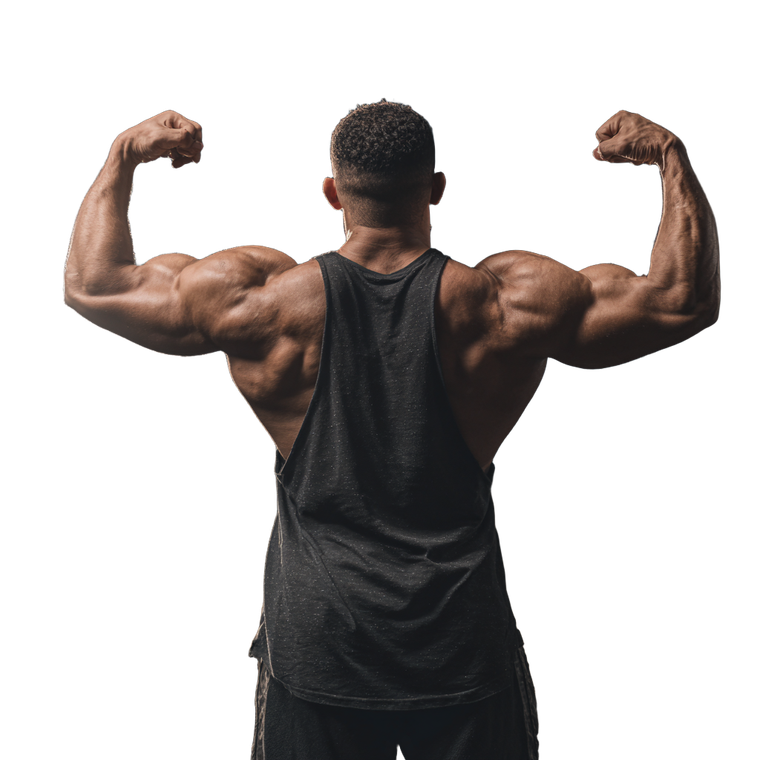 Muscular Bodybuilder Flexing Vinyl Car Decal Sticker – Waterproof & UV-Resistant 3.4133333333333336"