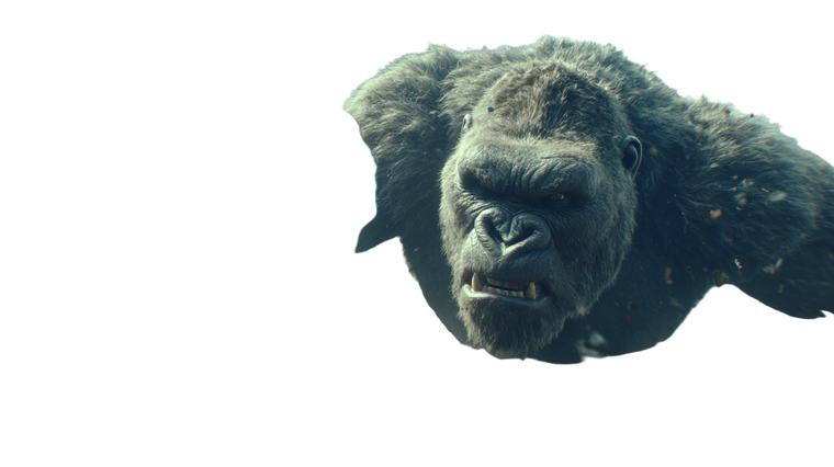 King Kong Brawl Vinyl Car Decal Sticker – Waterproof & UV-Resistant 5.4
