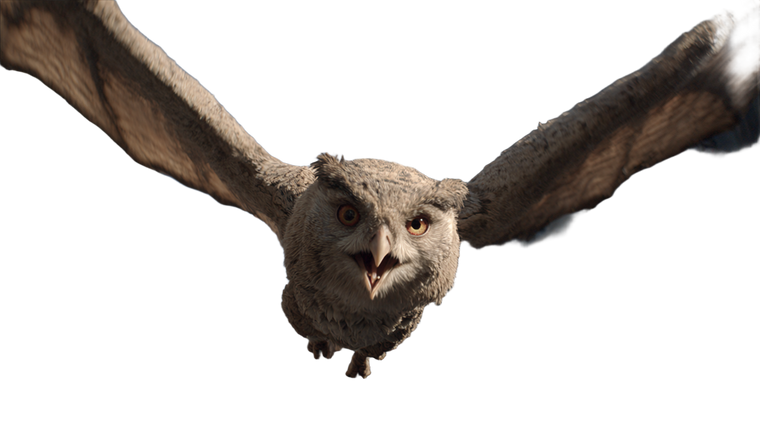 Angry Giant Owl Vinyl Car Decal Sticker – Waterproof & UV-Resistant 2.72"
